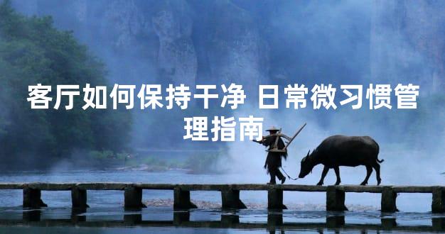 客厅如何保持干净 日常微习惯管理指南